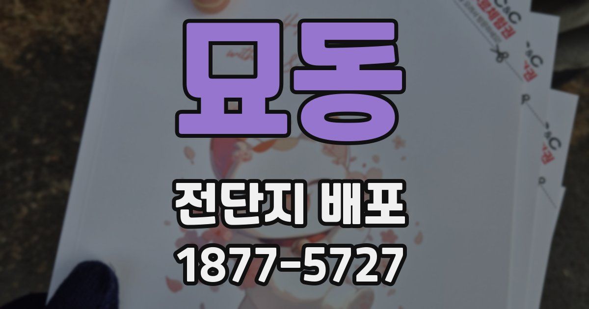 묘동 전단지 배포