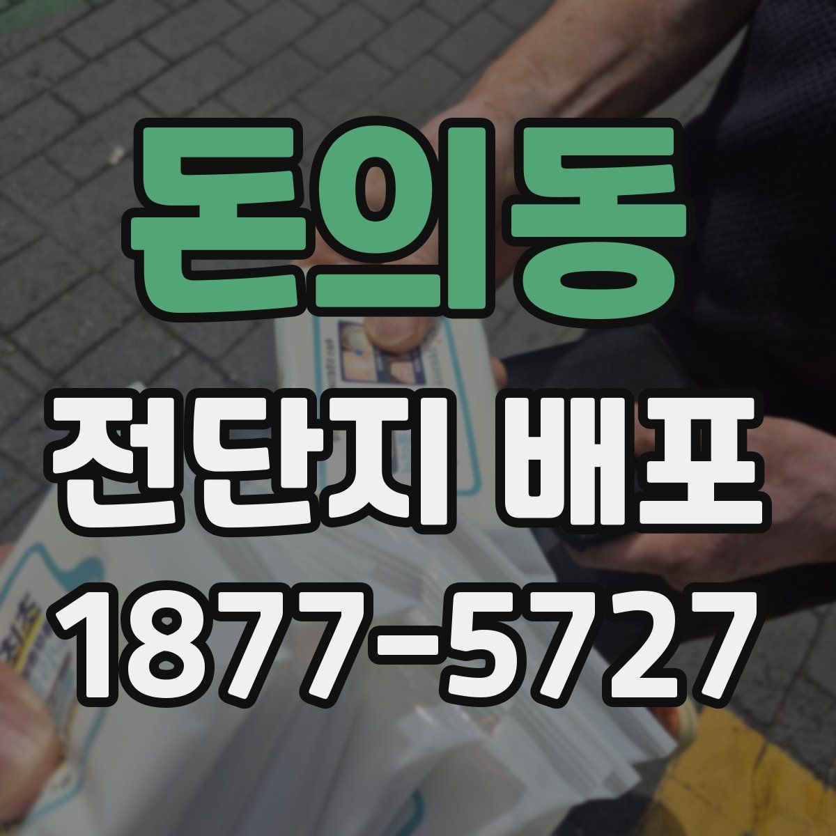 돈의동 전단지 배포