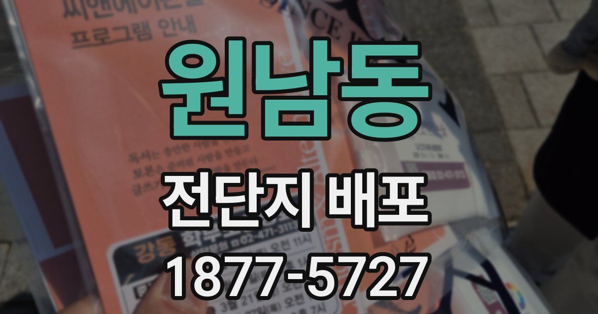 원남동 전단지 배포