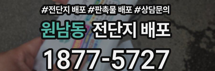 원남동 전단지 배포