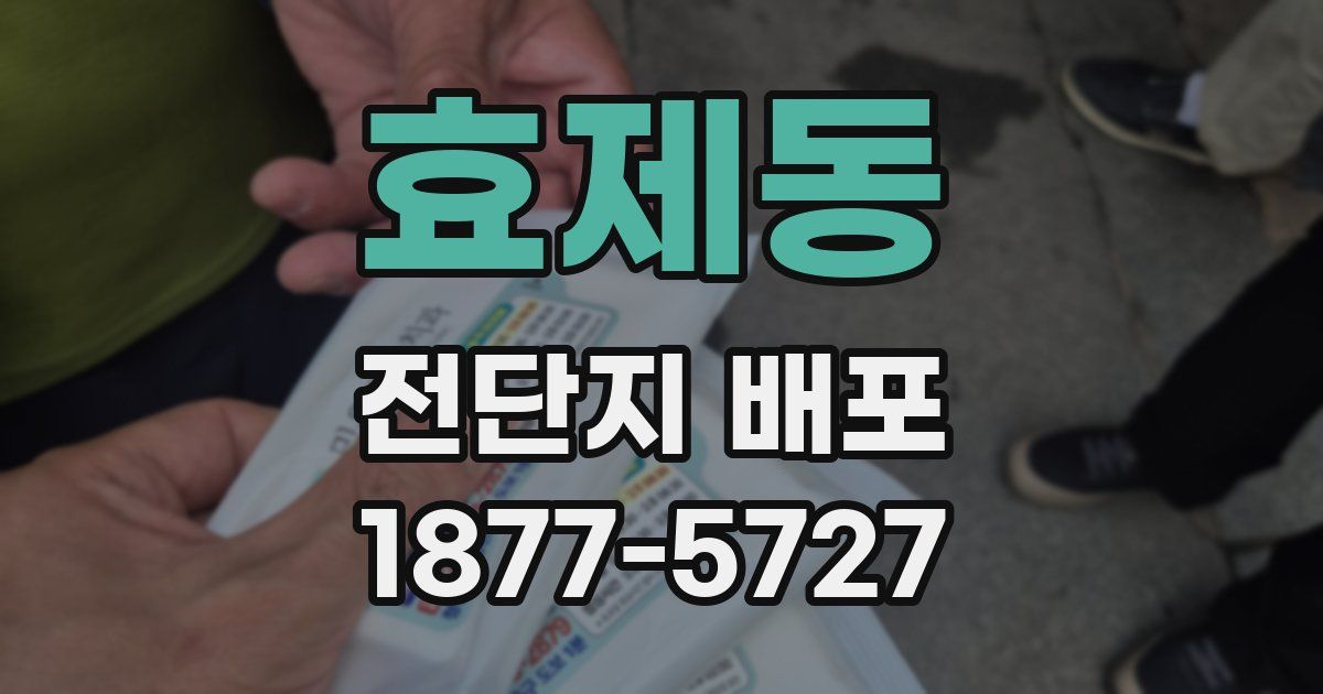 효제동 전단지 배포