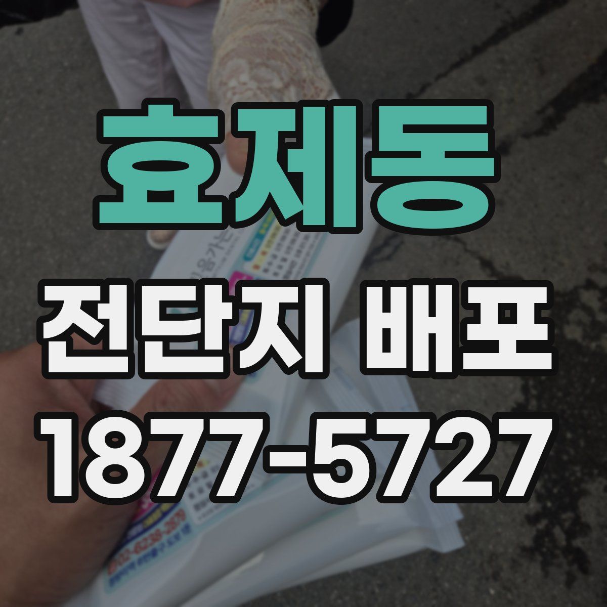 효제동 전단지 배포