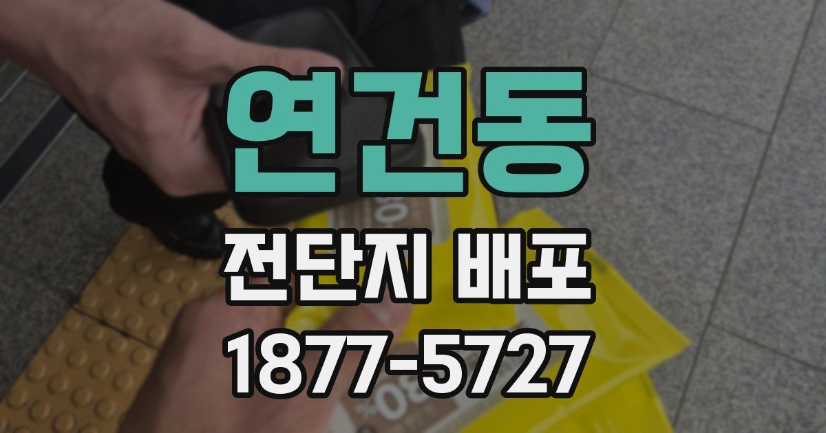 연건동 전단지 배포
