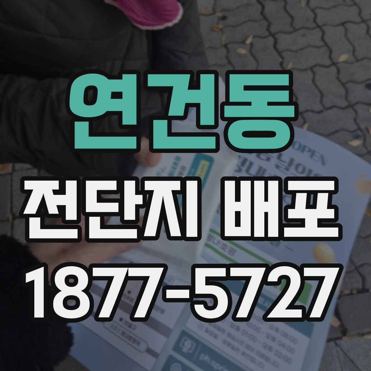 연건동 전단지 배포