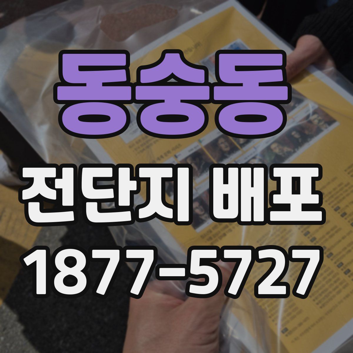 동숭동 전단지 배포