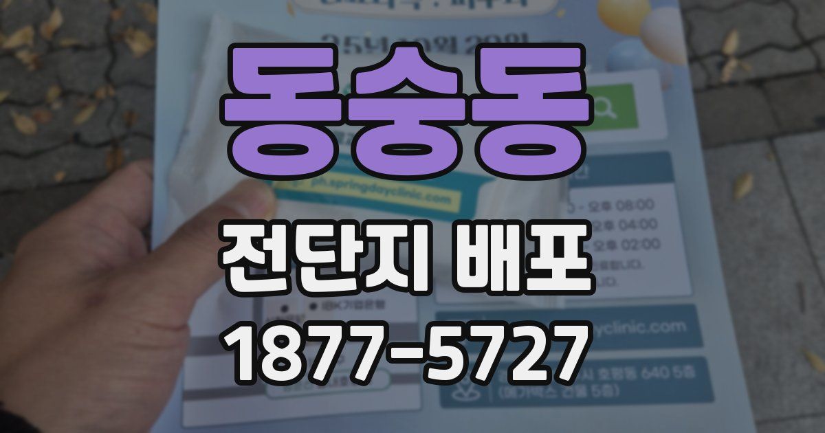 동숭동 전단지 배포