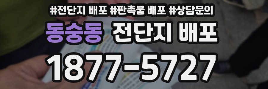 동숭동 전단지 배포