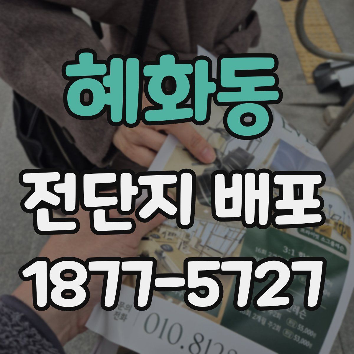 혜화동 전단지 배포