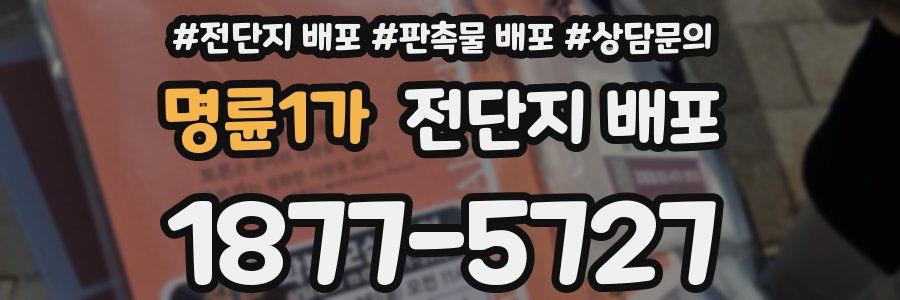 명륜1가 전단지 배포