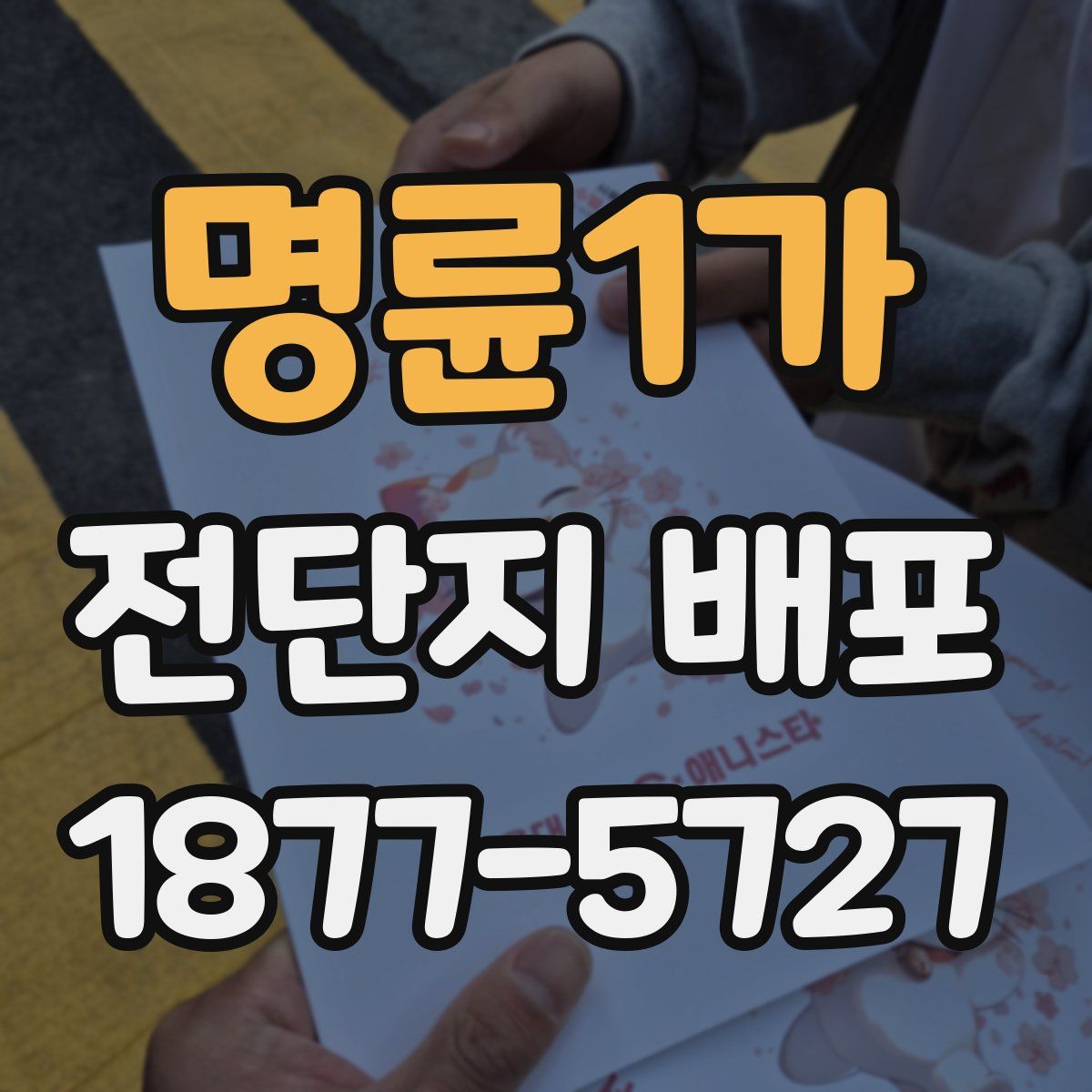 명륜1가 전단지 배포
