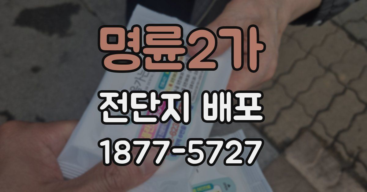 명륜2가 전단지 배포