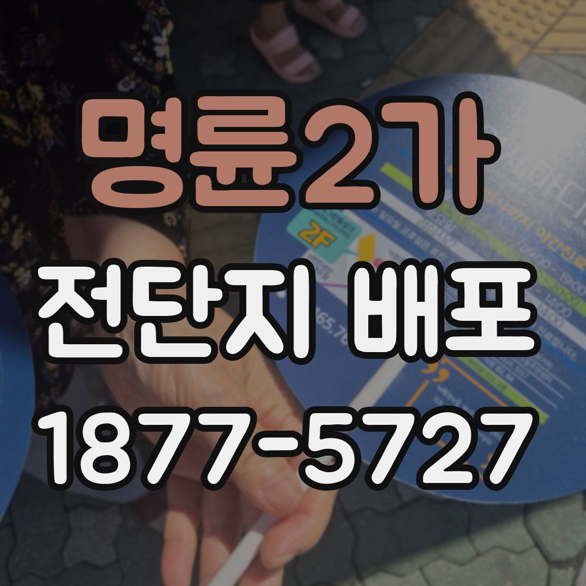 명륜2가 전단지 배포