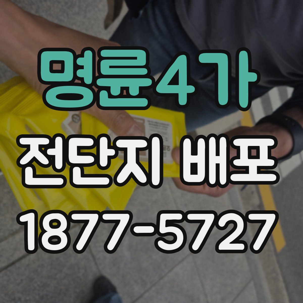 명륜4가 전단지 배포