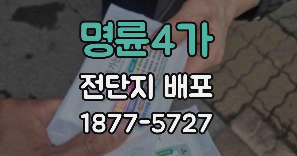 명륜4가 전단지 배포