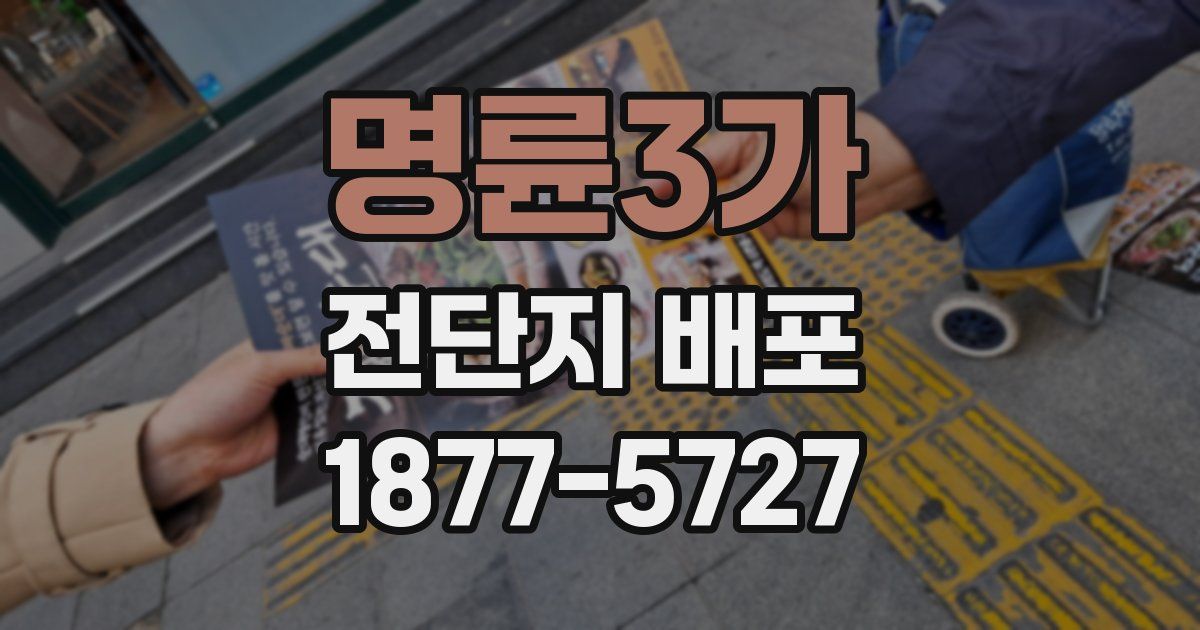 명륜3가 전단지 배포
