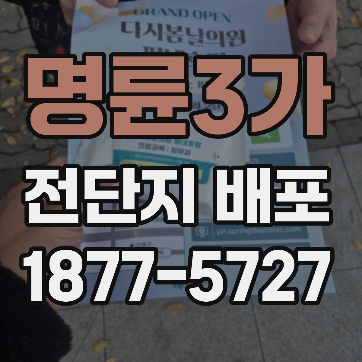 명륜3가 전단지 배포