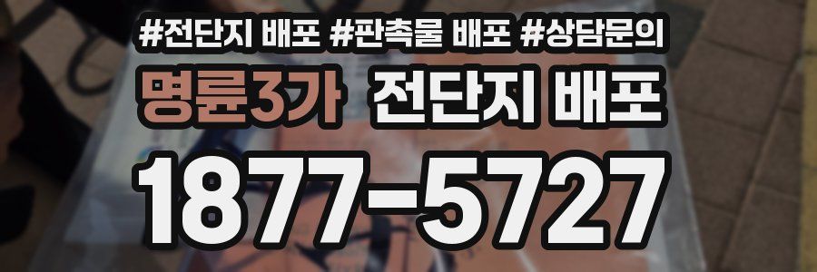 명륜3가 전단지 배포