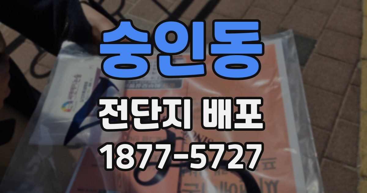숭인동 전단지 배포