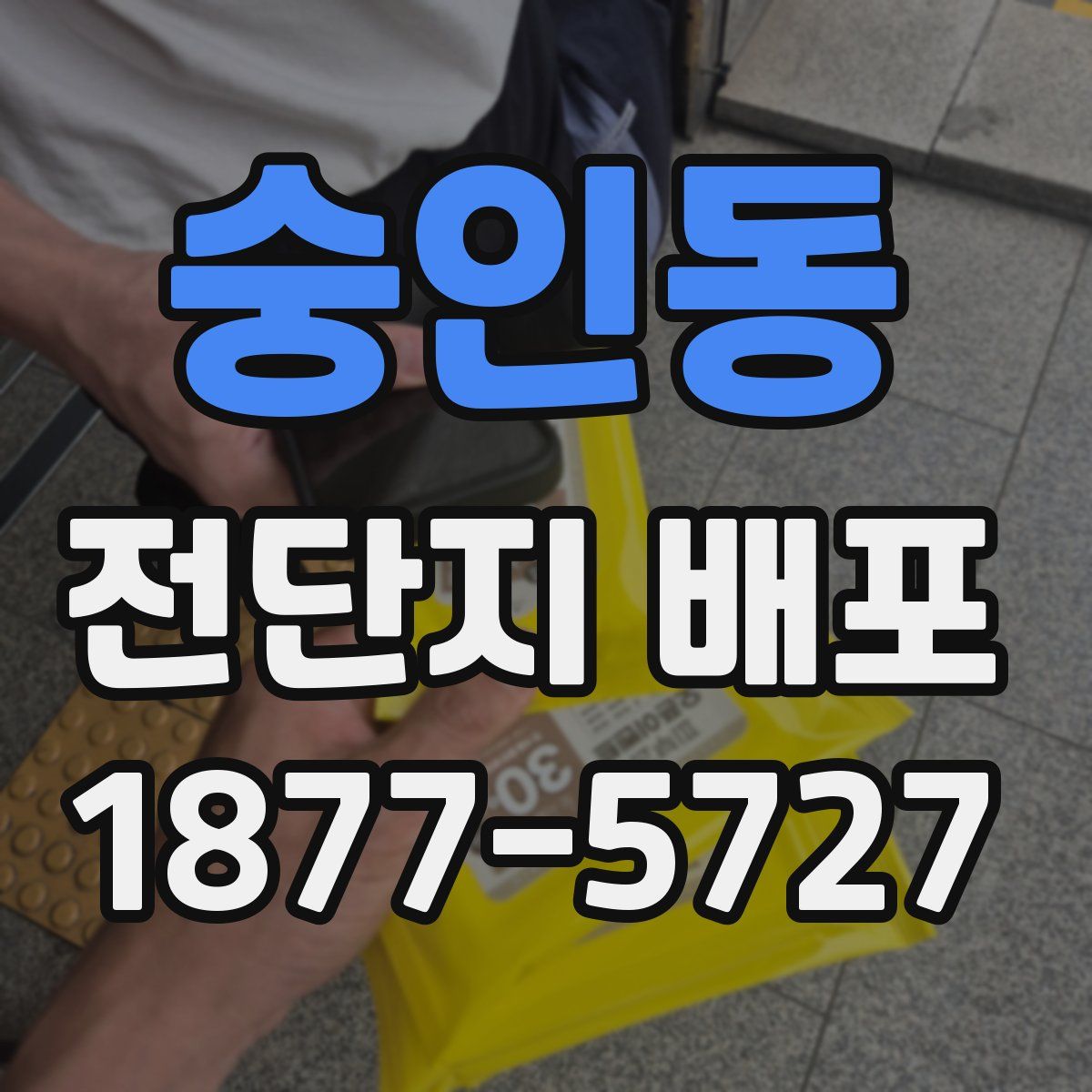 숭인동 전단지 배포