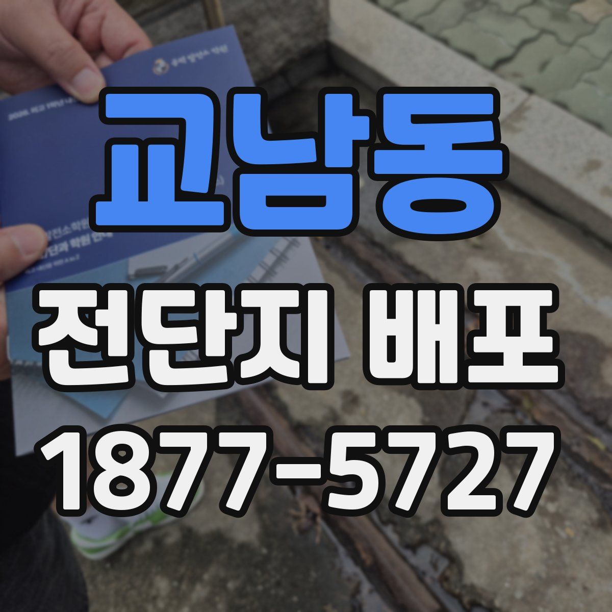 교남동 전단지 배포