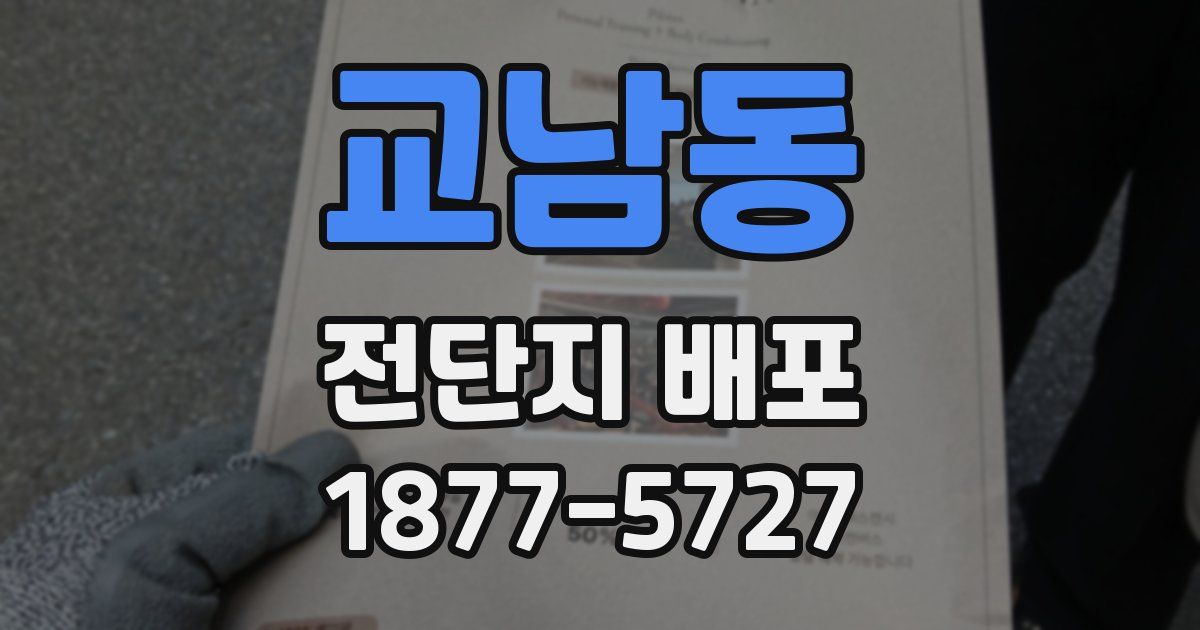교남동 전단지 배포