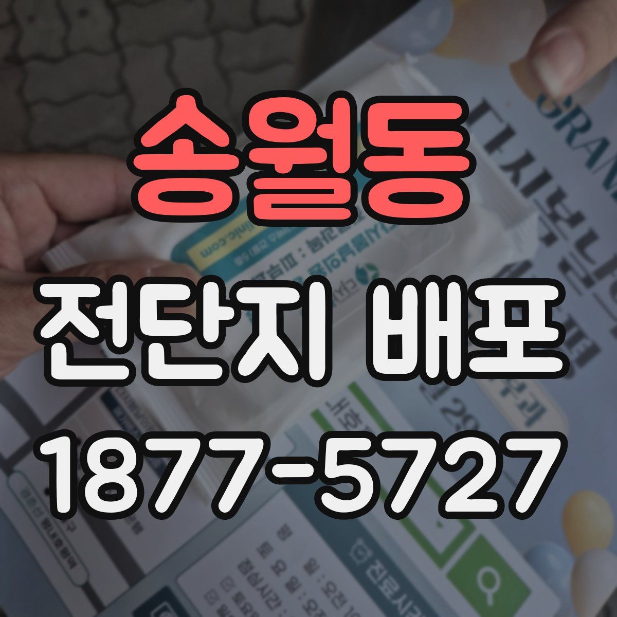 송월동 전단지 배포