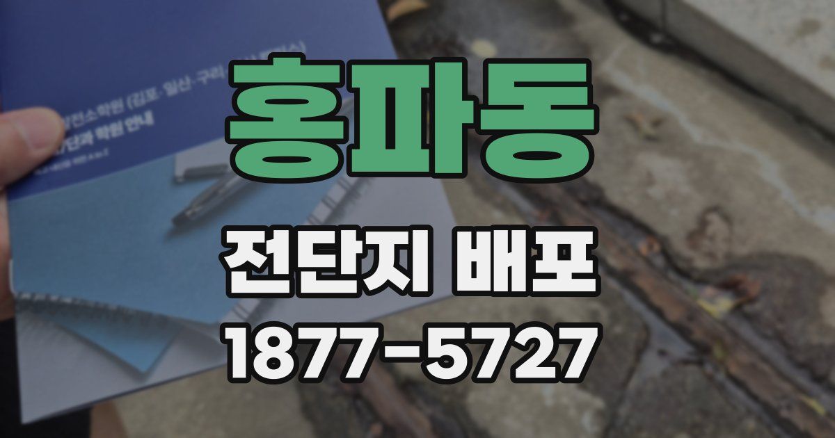 홍파동 전단지 배포