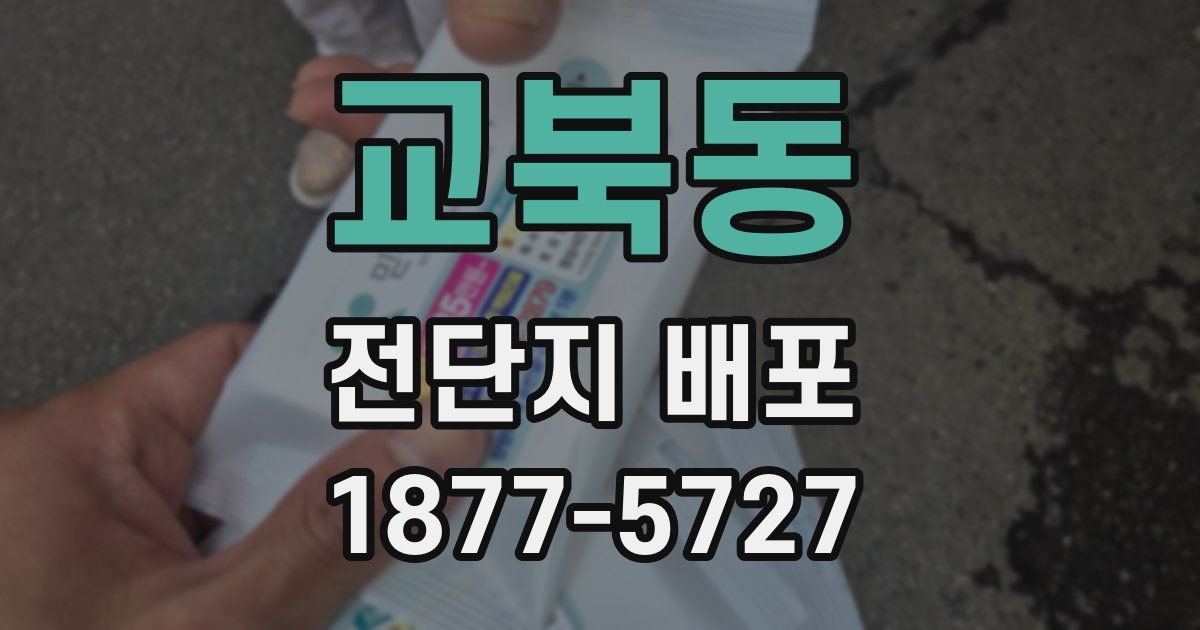 교북동 전단지 배포