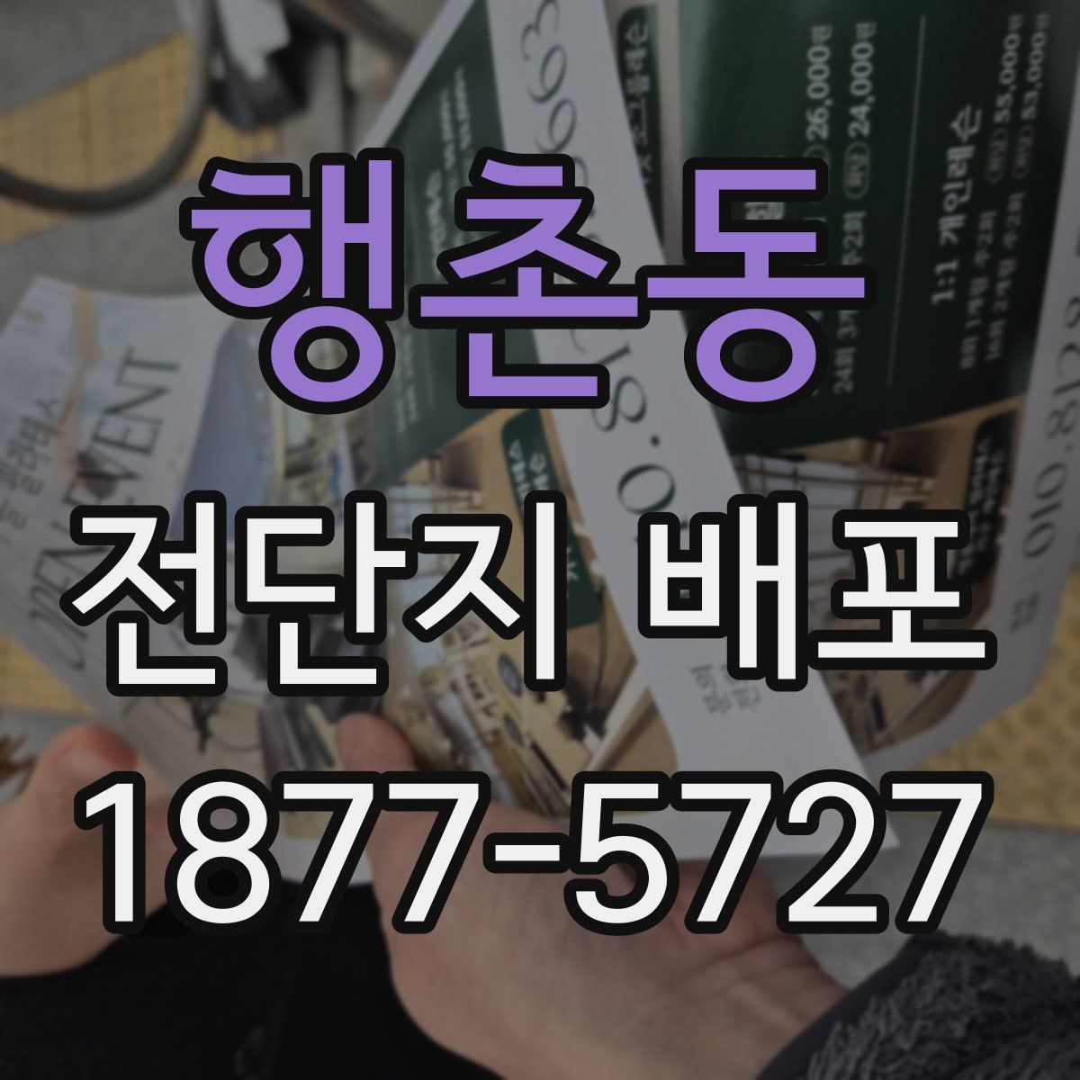 행촌동 전단지 배포