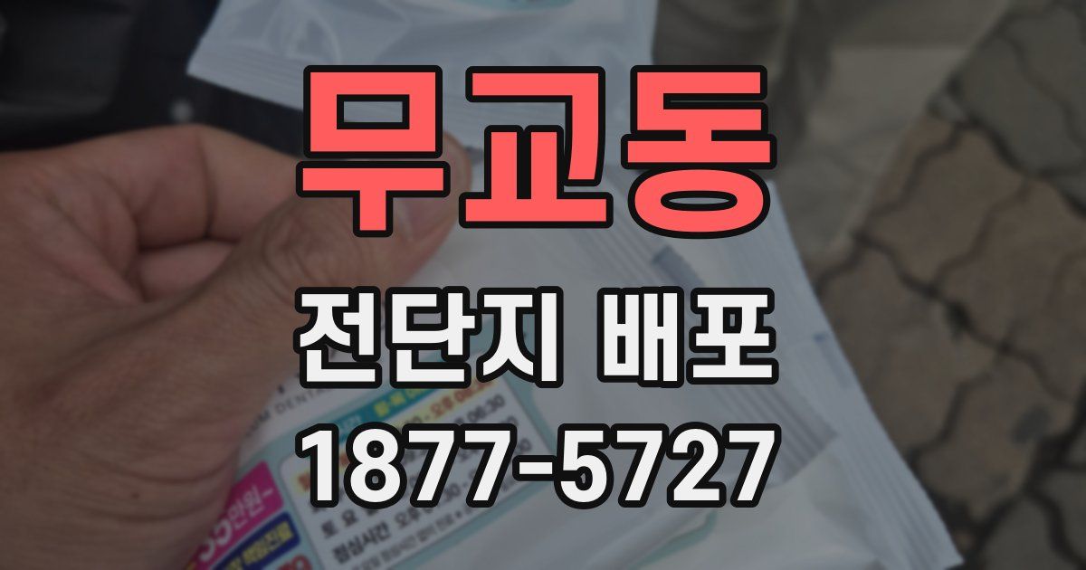 무교동 전단지 배포
