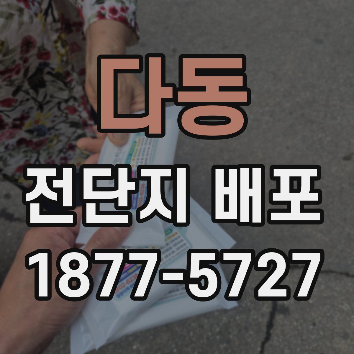 다동 전단지 배포