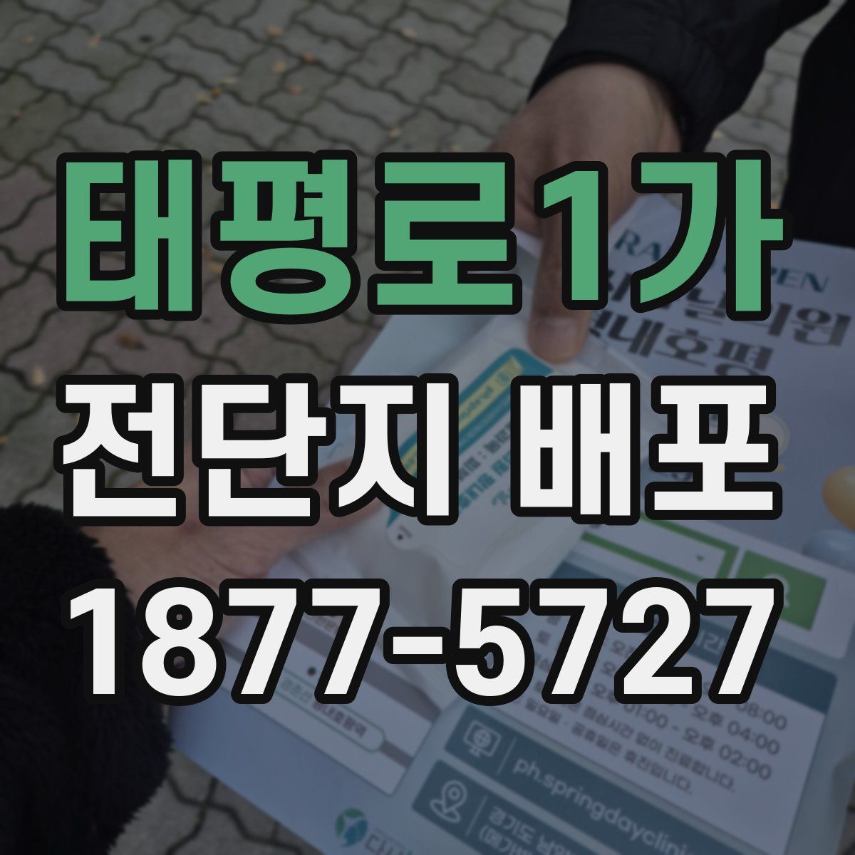 태평로1가 전단지 배포