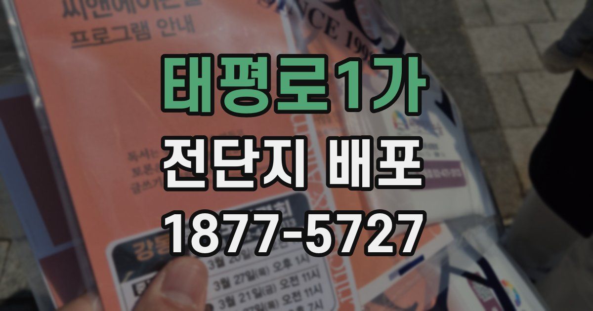 태평로1가 전단지 배포