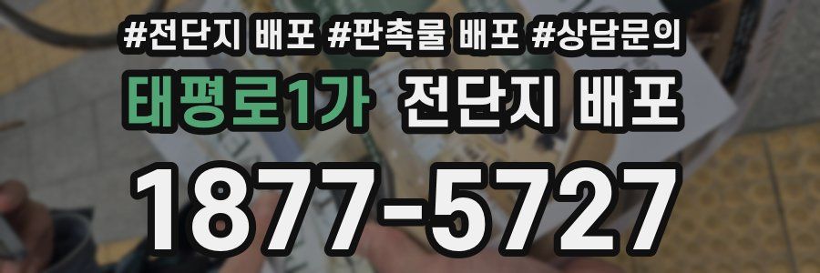 태평로1가 전단지 배포