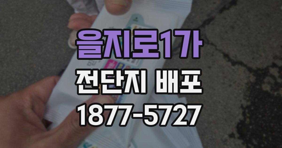 을지로1가 전단지 배포