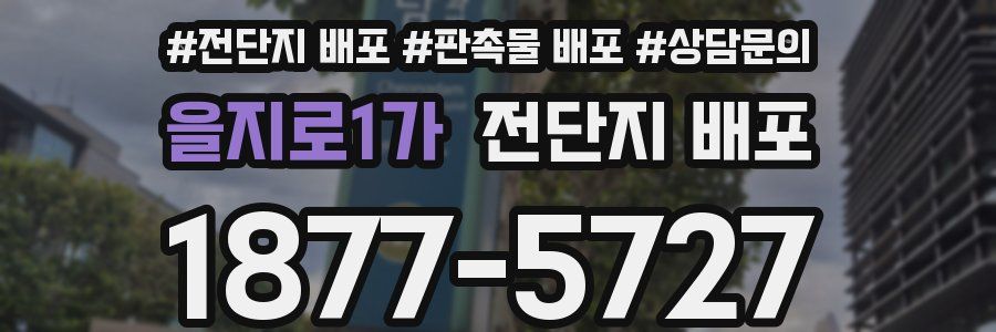 을지로1가 전단지 배포