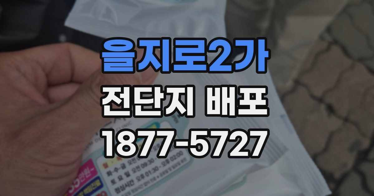 을지로2가 전단지 배포