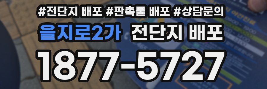 을지로2가 전단지 배포