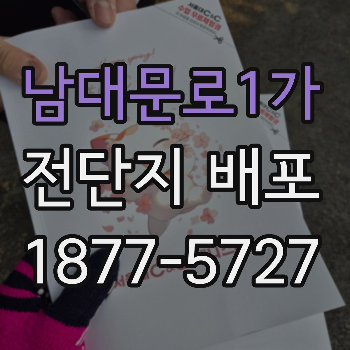 남대문로1가 전단지 배포