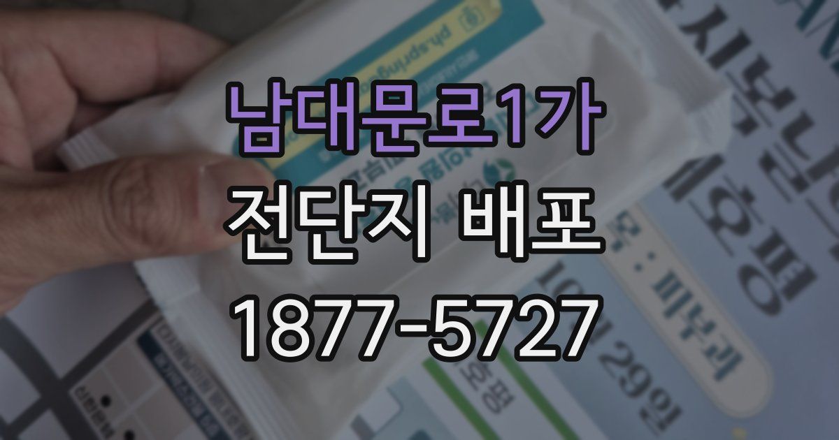 남대문로1가 전단지 배포