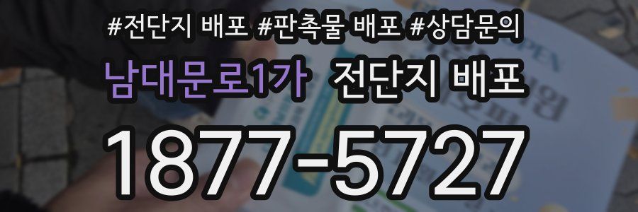남대문로1가 전단지 배포