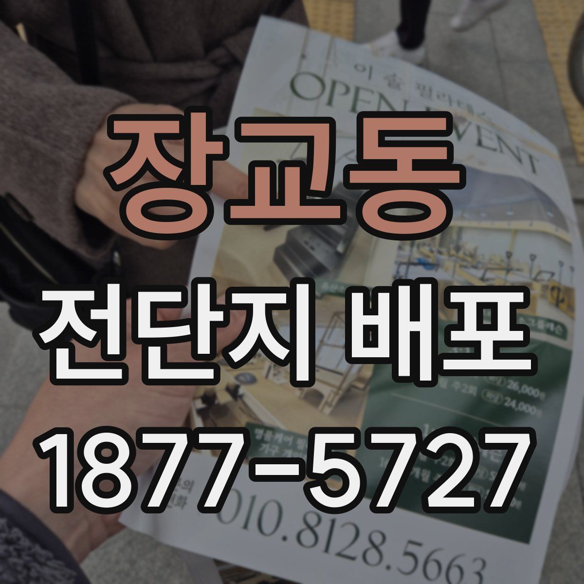 장교동 전단지 배포