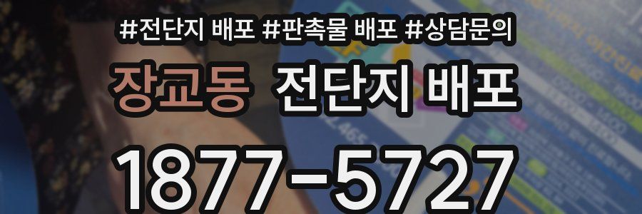 장교동 전단지 배포
