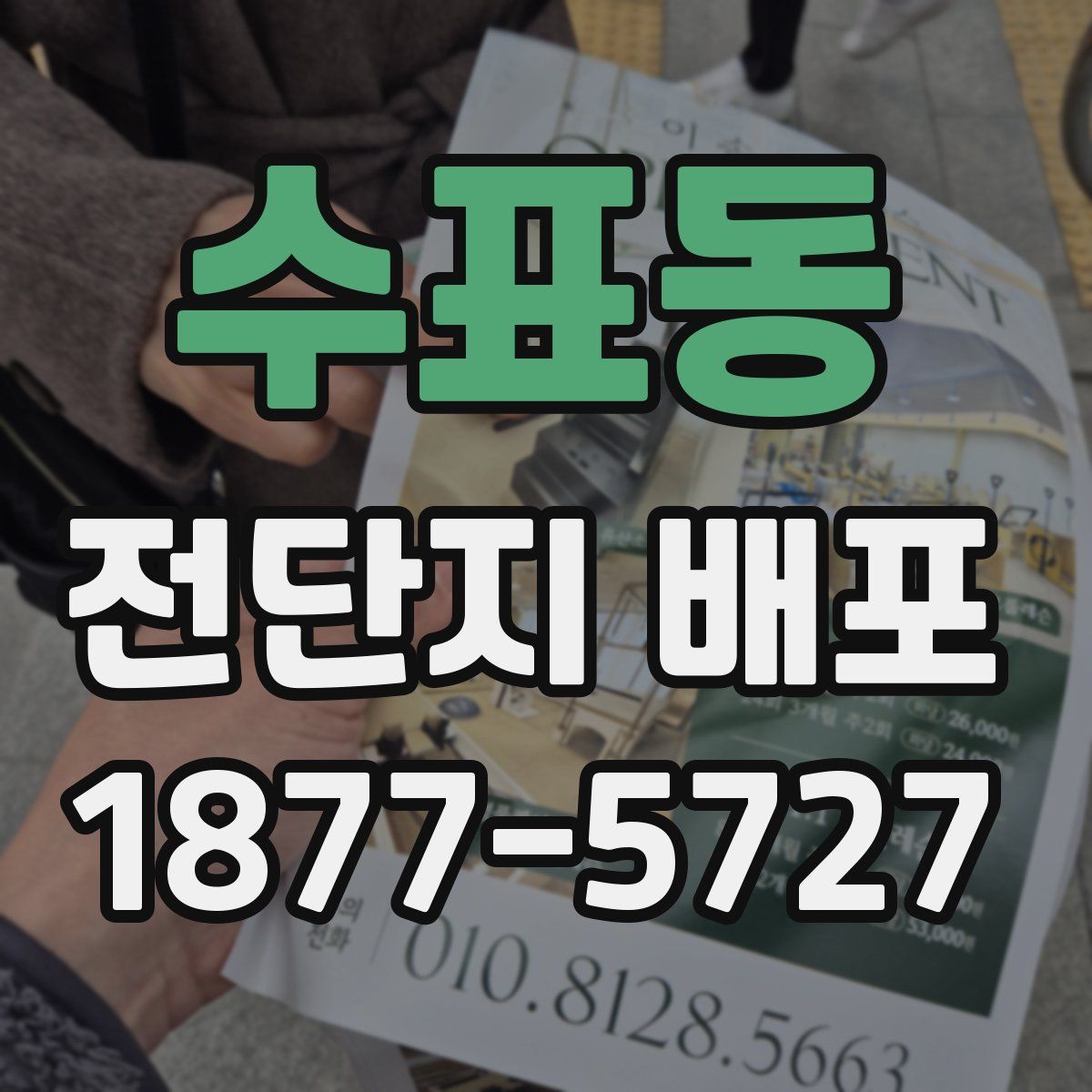 수표동 전단지 배포