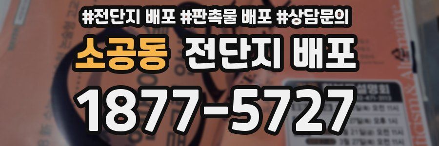 소공동 전단지 배포