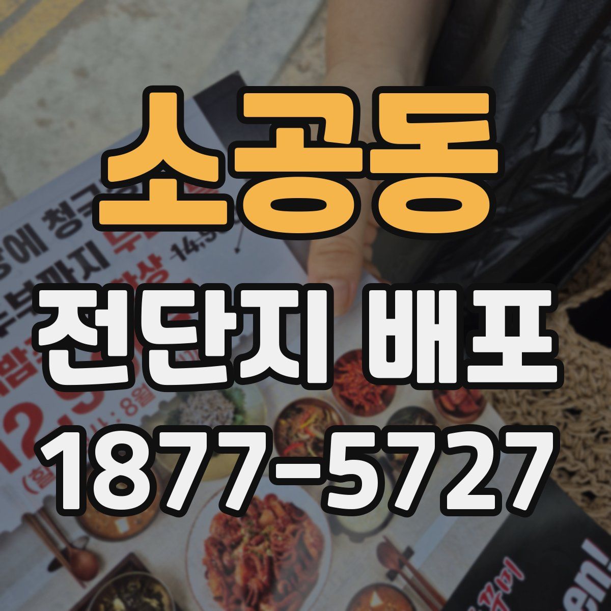 소공동 전단지 배포