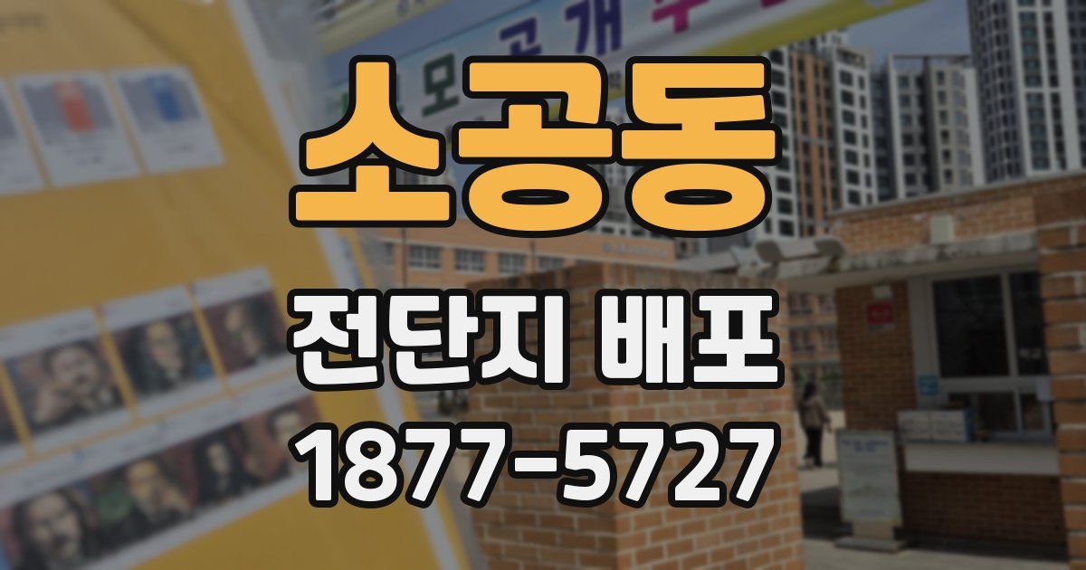 소공동 전단지 배포