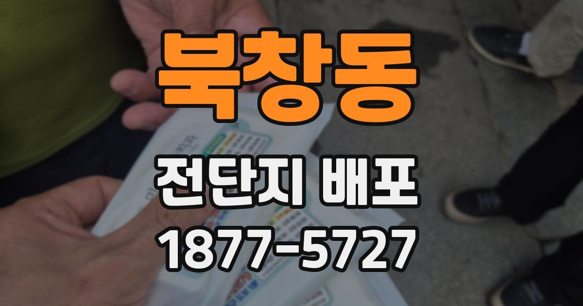 북창동 전단지 배포