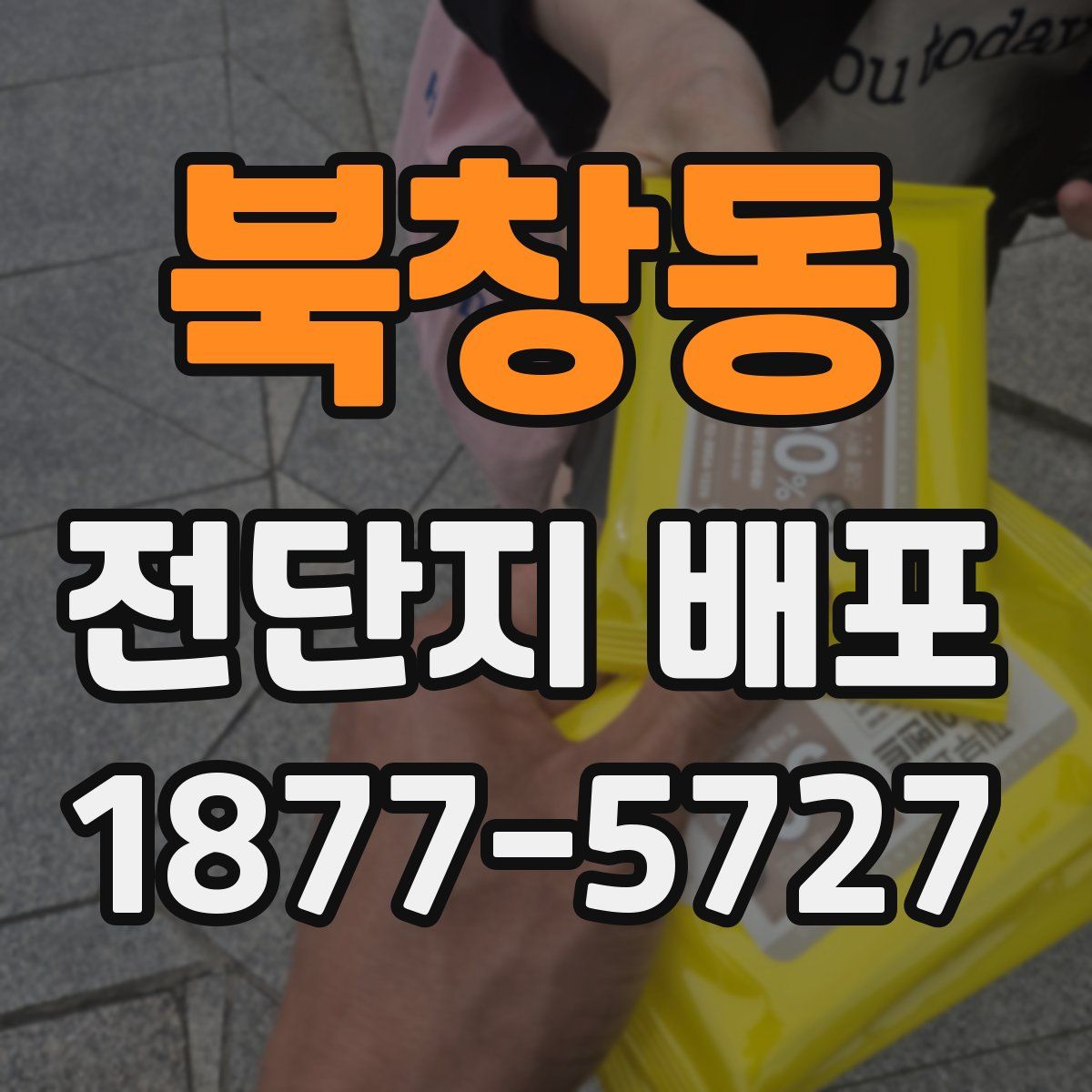 북창동 전단지 배포