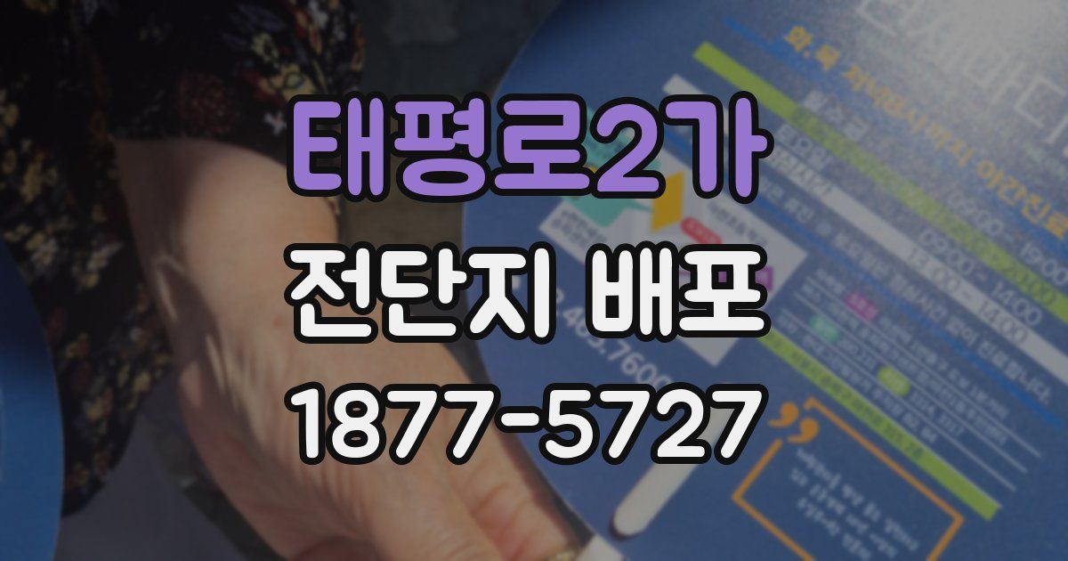 태평로2가 전단지 배포